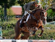Guarducci Tea Rose GioCav2013 S5 1340 : Campionati Italiani Giovani Cavalli, Cattolica, Guarducci Francesco, Tea Rose, ph Stefano Secchi ©
